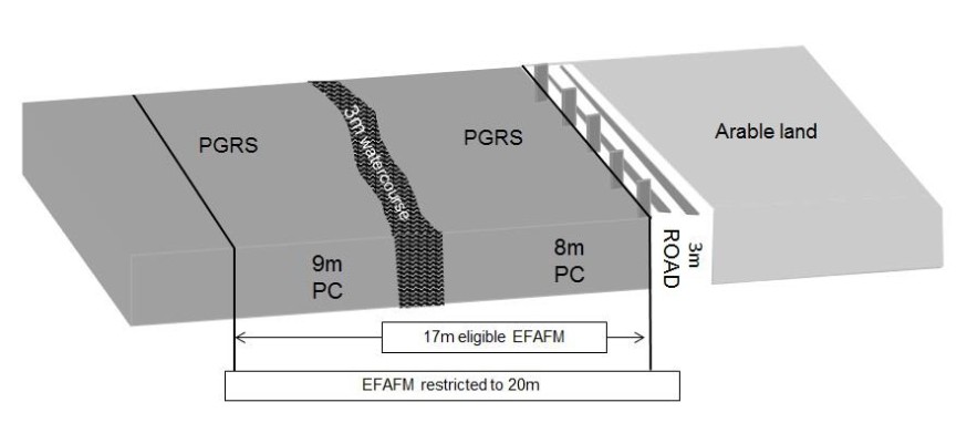 Example of EFA feild margin