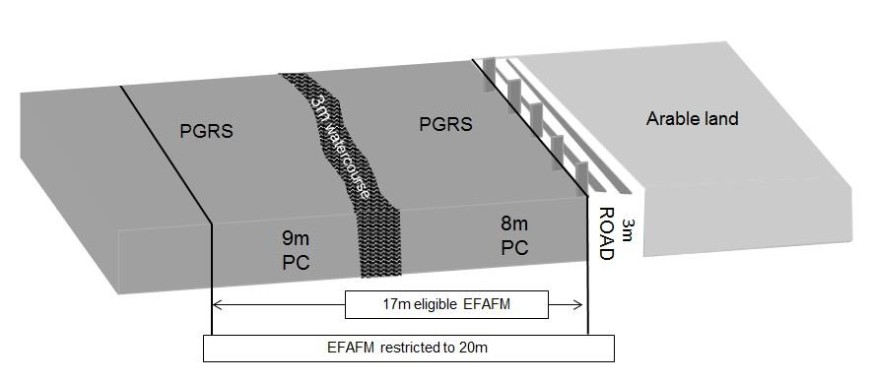 Example of EFA feild margin Example of EFA feild margin
