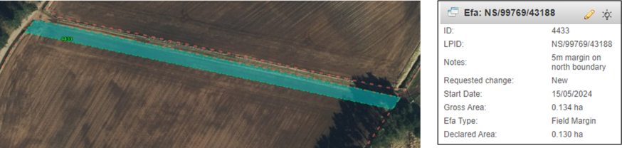 Aerial photography showing an EFA margin highlighted in blue. Aerial photography showing an EFA margin highlighted in blue.