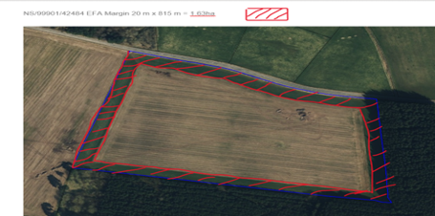 Aerial photography of a field with red lines added to highlight its border. Aerial photography of a field with red lines added to highlight its border.