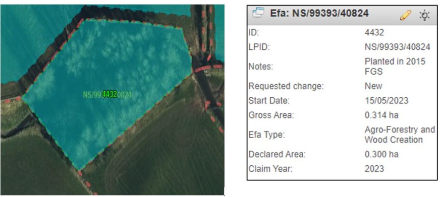 EFA in blue on aerial photography. EFA in blue on aerial photography.
