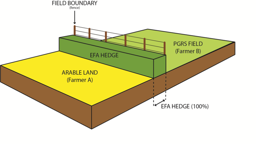 EFA diagram example 5