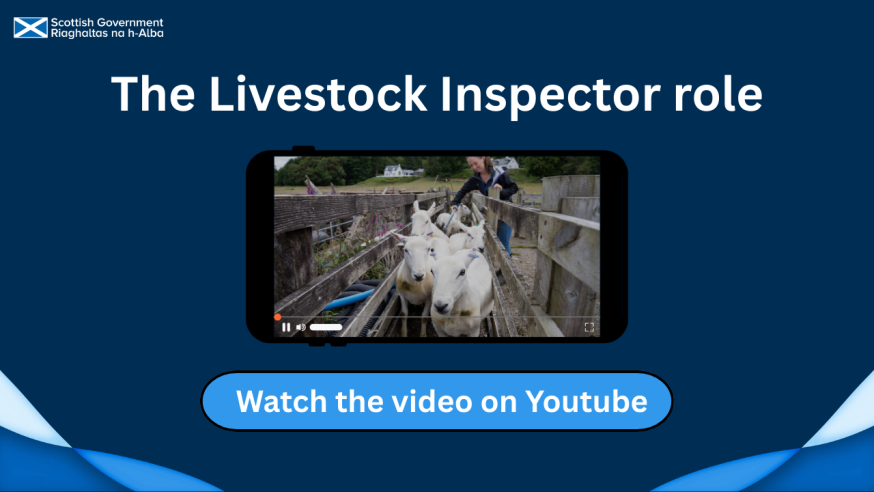 Click on the image to watch a video on youtube about the livestock inspector role
