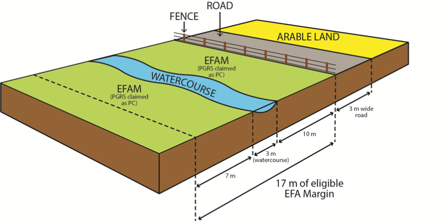EFA margin diagram example 5