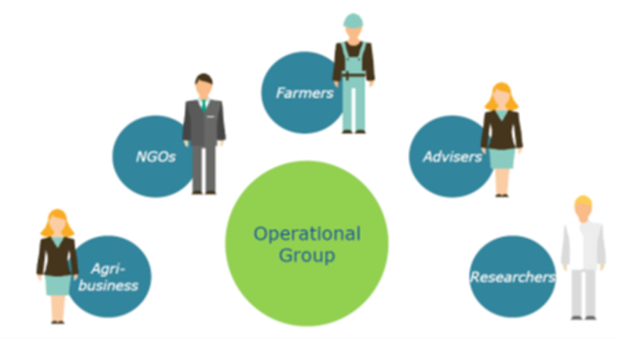 Graphic showing what different representatives of an operational group are.