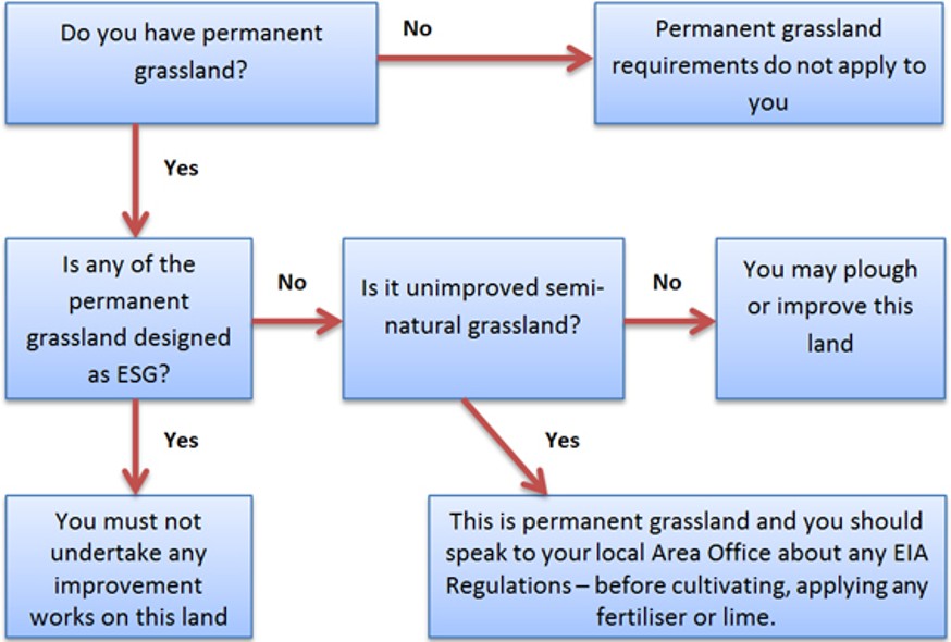 Permenant grassland flowchart