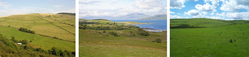 Examples of permanent grassland