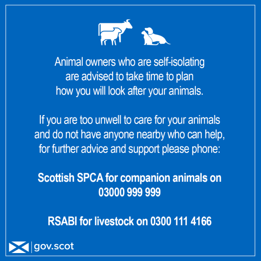 Image showing basic pet guidance tips during Coronavirus such as planning ahead. Phone numbers for RSABI and the SSPCA are also provided