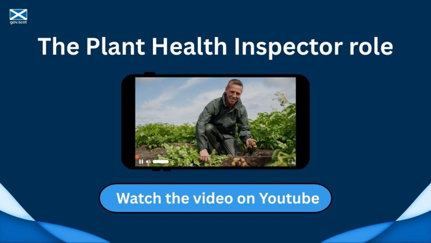 Click the image to watch a video about the plant health inspector role on youtube