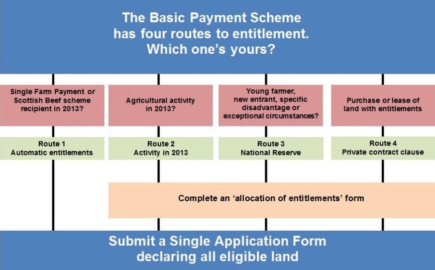 Graphic showing the different route to entitlements