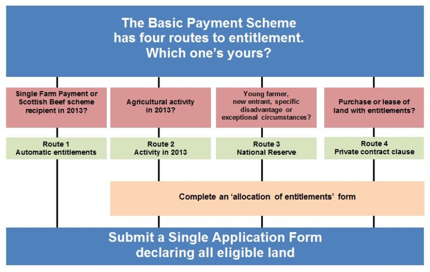 Graphic showing your route to entitlements