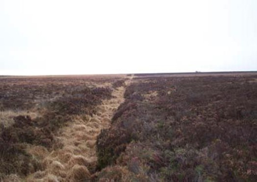 Lowland bog before damming – © Scottish Natural Heritage