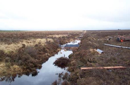 Lowland bog before damming – © Scottish Natural Heritage