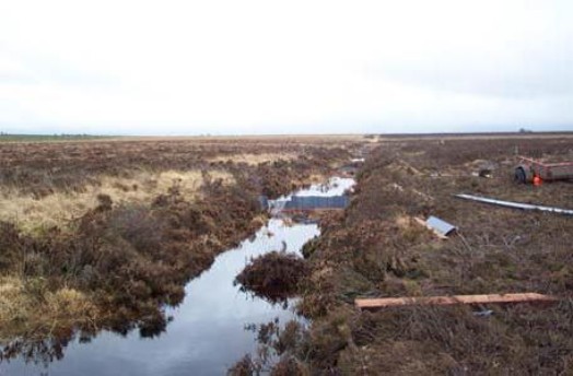 Lowland bog before damming – © Scottish Natural Heritage Lowland bog before damming – © Scottish Natural Heritage