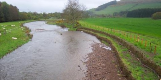 Two-step willow spiling works at Clifton on the Bowmont Water