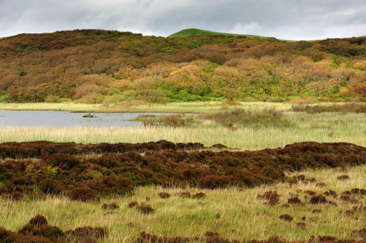 Habitat mosaic containing scrub moor, loch and native woodland – © Scottish Natural Heritage