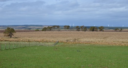 Intensively managed grassland next to a lowland bog – Credit: Tony Seymour – © TFE 2014