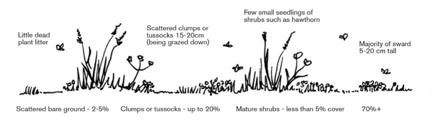 Species-rich grassland; Scottish Natural Heritage