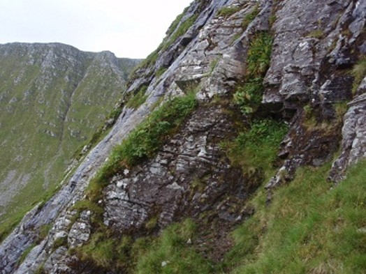 Tall-herb vegetation – Credit: Ruth Maier – © Scottish Natural Heritage Tall-herb vegetation – Credit: Ruth Maier – © Scottish Natural Heritage