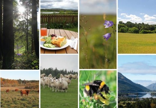 The Scottish Government invites you to attend an event to find out about changes to SRDP funding. The Scottish Government invites you to attend an event to find out about changes to SRDP funding.