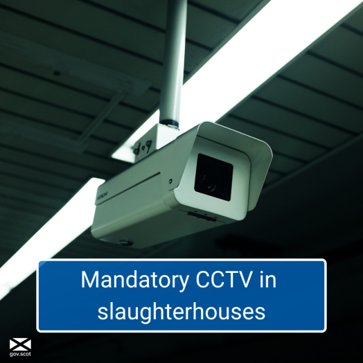 CCTV camera inside a building with text stating they are now mandatory