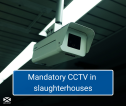 CCTV camera with text stating CCTV is mandatory in abattoirs