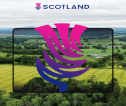 Scotland landscape with purple thistle