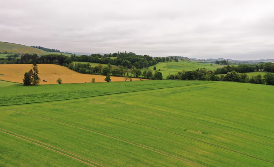 Scottish Landscape
