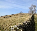Farm with wall in foreground