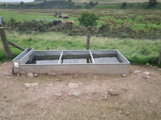 Drinking trough for livestock