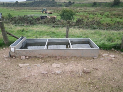 Drinking trough for livestock Drinking trough for livestock