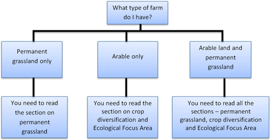 Flow chart detailing what guidance a customer should read