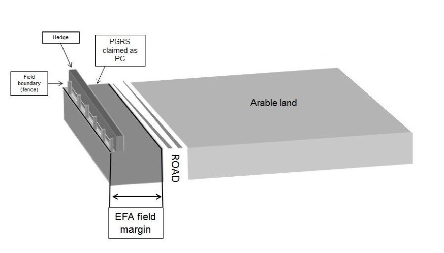 Diagram showing where an EFA can be located Diagram showing where an EFA can be located