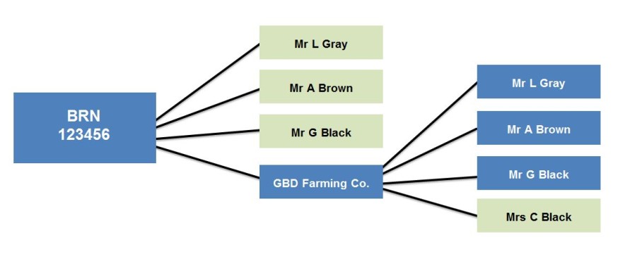 RPID business types