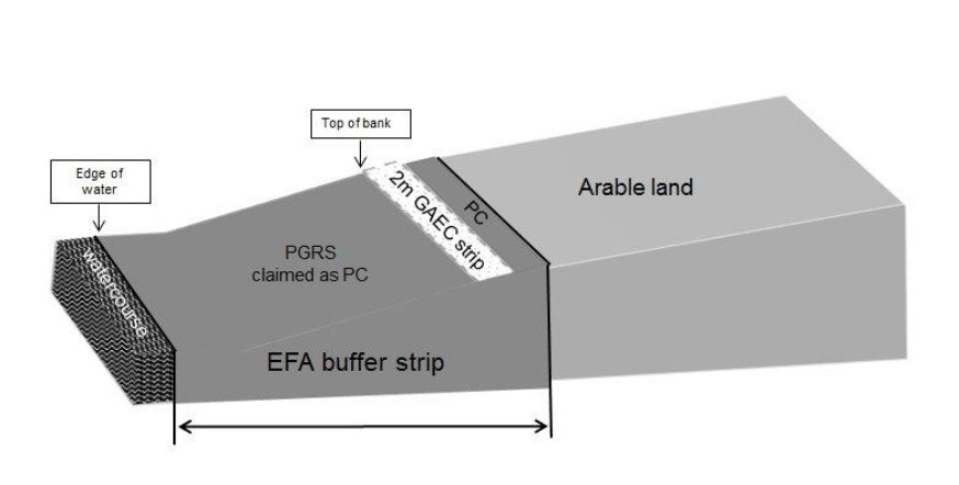 Diagram showing an example of a buffer strip