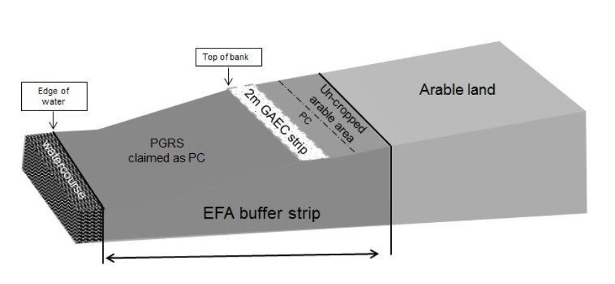 Diagram showing an example of a buffer strip