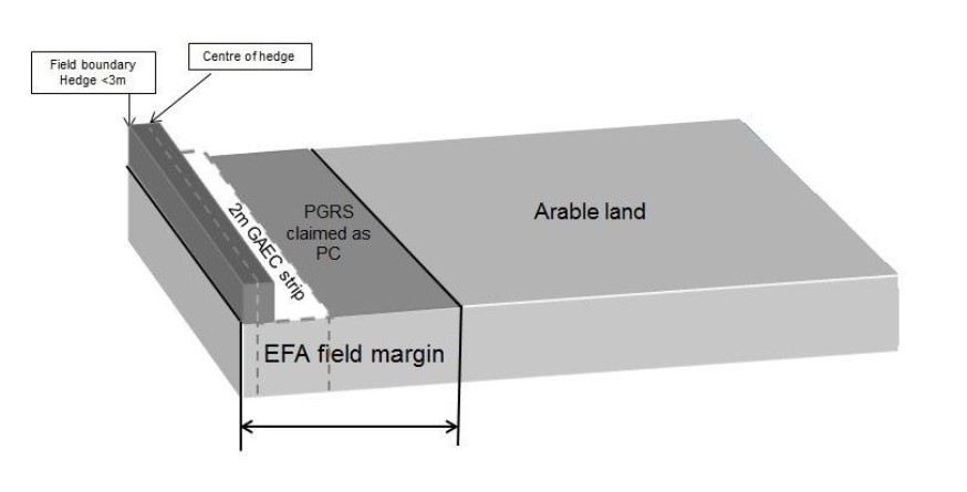 Diagram showing an field margin example