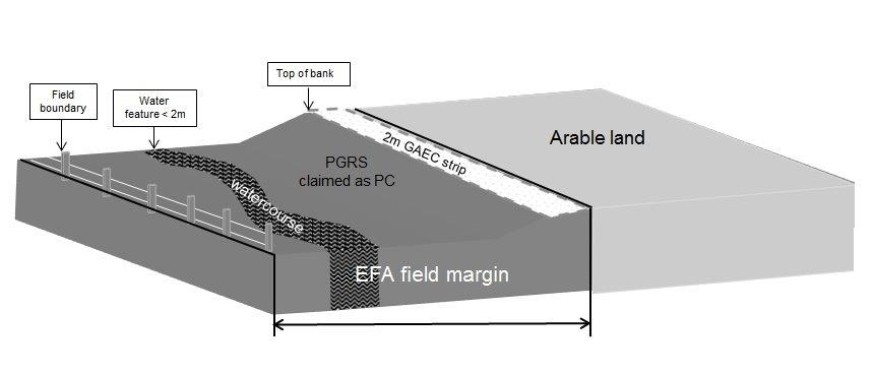 Diagram showing an example of a field margin