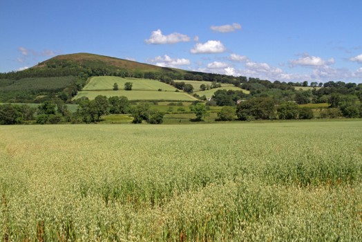 A range of radical proposals aimed at revitalising tenant farming in Scotland has been unveiled