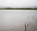 Photograph of flodded field