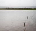 Photograph of flodded field