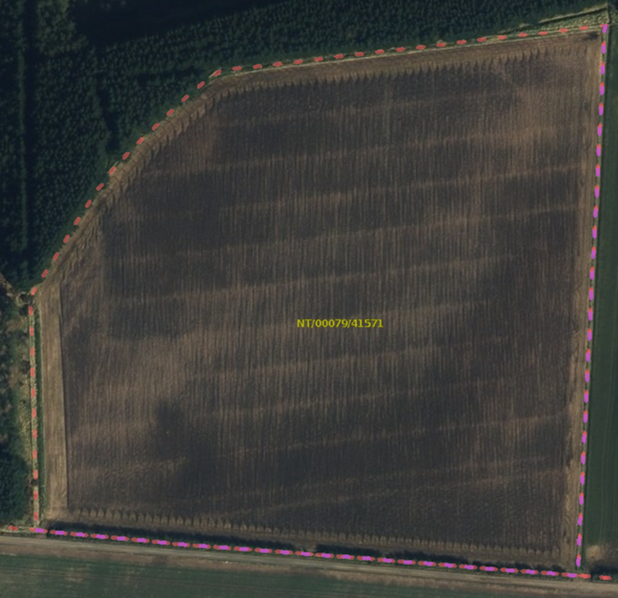 A pink dotted line runs along the right and bottom side of a field