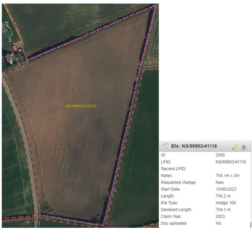 A field with a pink dotted line running along three sides. A field with a pink dotted line running along three sides.