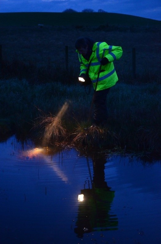 Torch survey – Credit: Tony Seymour The Farm Environment Ltd