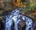 Photograph of a river in the middle of a woodland